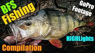 BFS Fishing Highlights - Lure Fishing for Perch, Trout, Pike, Zander, Chub - GoPro Footage