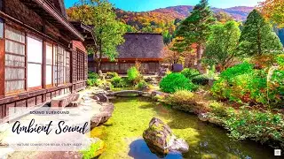 Countryside Ambience Japanese Village of Ogimachi in Shirakawa-gō | Traditional House On Rainy Day