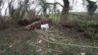 6th of Jan in the Coppice and how to build a cord.