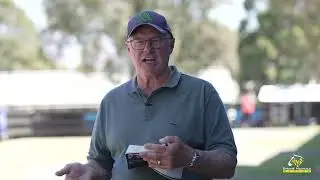 Home Affairs x Grey Shadow '23 Filly - Shane Nichols Racing