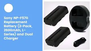 Sony NP-F570 Replacement Battery (2-Pack, 2600mAh, L-Series) and Dual Charger