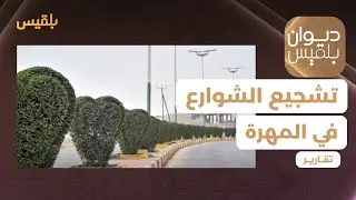 الغيضة.. تشجير الشوارع بأشكال تعبر عن جزء من تراث المدينة | تقرير: ياسر محمد