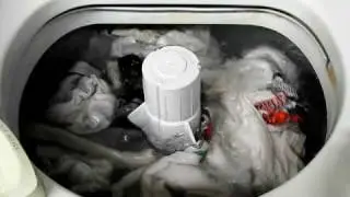 1982 Whirlpool Supreme Belt-Drive Washer Fill & Rinse