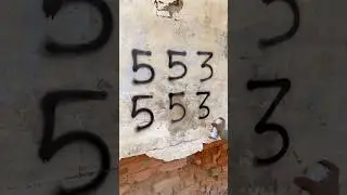 How to draw Dog With 553 Number step by step | AP Drawing #shorts