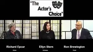Actor Richard Epcar and Actress Ellyn Stern
