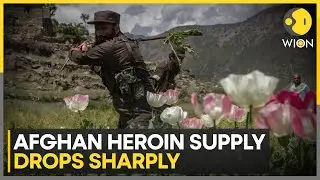 Afghanistan&rsquo;s Opium Fields Shrink, But Drug Trafficking Rises | WION