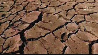 Kids born in 2021 will experience much more extreme weather due to climate change, report shows