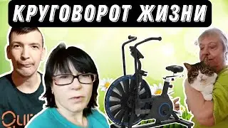 Это будет бесконечно? / Лена балует нас...))