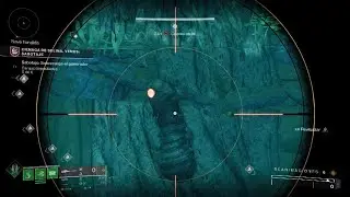 Hive Worm?