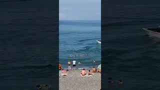 #Banana #flip #entertainment #attraction #beach #shorts
