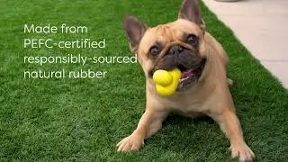 Earth Rated Toys