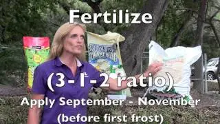 Winterize Your Lawn