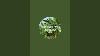 Francisco filho da serra oficial. está ao vivo!
