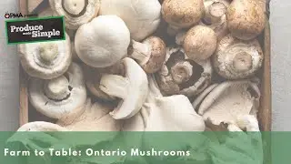 Farm to Table: Ontario Mushrooms| Produce Made Simple