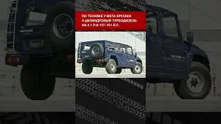 Что такое Toyota Mega Cruiser