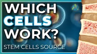 Bone Marrow vs Umbilical Cord Stem Cells for Joint Pain: What Matters