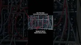 GEMINI 2412 & ENTROPIC DOOM - Melodic Noise into SEM Filter