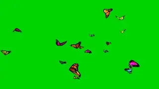 spring butterflies green screen part 2 | crazy Editor