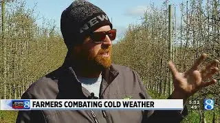 Local orchard works to combat freezing nights