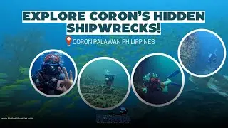 Coron Shipwrecks with Diver Michael plus Watch my Interview of his experience in Philippines #scuba