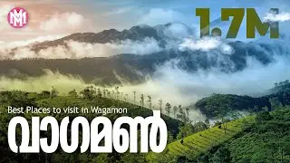 Vagamon | വാഗമൺ | Travel Video | Kerala Tourism | Best Places to visit in Wagamon