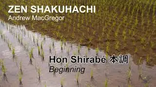 HON SHIRABE  本調   