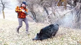 WHEN HUNTERS HUNT BOARS