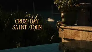 Art of Noticing - Saint John USVI