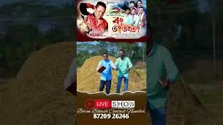 Rong Tong Tong Tong//Assamese Song//Boron Bikash New Song//Short Video//Rajdeep Borah Papu//