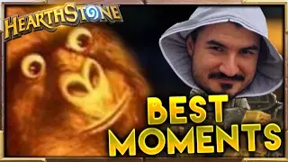 Best Moments 83 | Hearthstone Gadgetzan