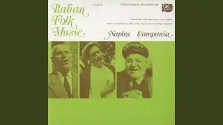 Zesa Viola