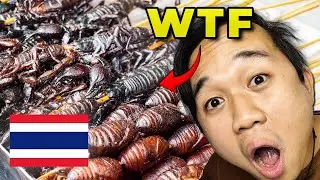 I Eat Thailand&rsquo;s Weird Local Foods That Even Locals Won&rsquo;t Dare