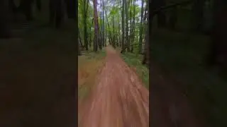 Forest run (FPV FRESTYLE) #shorts