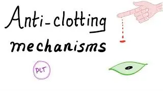 Anti-clotting Mechanisms - Heparin, Warfarin, Antithrombin III, Prostacyclin - Hematology