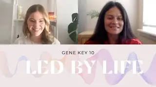 Gene Key 10 - Letting go of labels to journey through our true state of being + The Vessel of Love