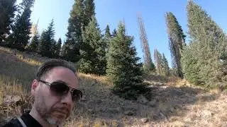 Fourmile Falls