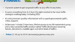 (Traffic WSO) The Traffic Multiplier - JV Details