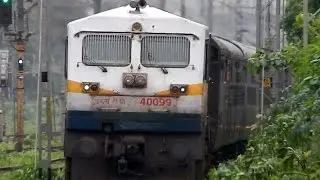 Angry Golden Rock WDP4D in Hurry towards its Destination