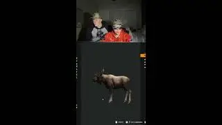 Squirrel Pursuit Outdoors is Live!