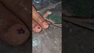 # household  items used nail art# shortfeed 🥰😍🤩😜