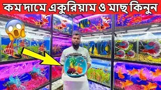 Aquarium Fish Price in Bangladesh Aquarium Price In Bangladesh 2026 Aquarium Fish Price in katabon