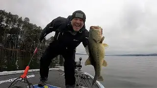 2021 MLF Toyota Central - Guntersville