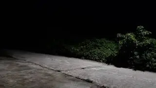 Relax 3 hours| The sound of night| Night ambient sounds| MoonForest Stream| Nature sounds