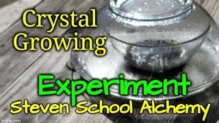 How To Grow Acetate Crystals - Acetate Crystal Experiment