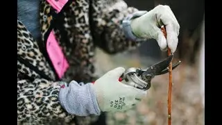 Make yard work easier! 7 gardening tools that will change your life