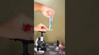 Colgate under the microscope 🔬😱🤯 Toothpaste under the microscope