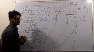 Real Number CBSE 10th Math I Introduction of type of Number System ITheory of Number System I Part 2