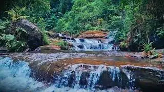 Mountain River Waterfall Flowing | Water Sounds, Nature White Noise, River Sounds for Sleeping