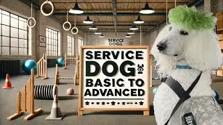 Service Dog Training BASIC 2 ADVANCED