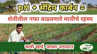 जमिनीचा pH आणि सेंद्रिय कार्बन योग्य असेल तर उत्पादन खर्च कसा कमी होतो? #soilhealth #organicfarming 